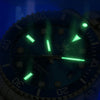 MONTRE HOMME OLEVS
