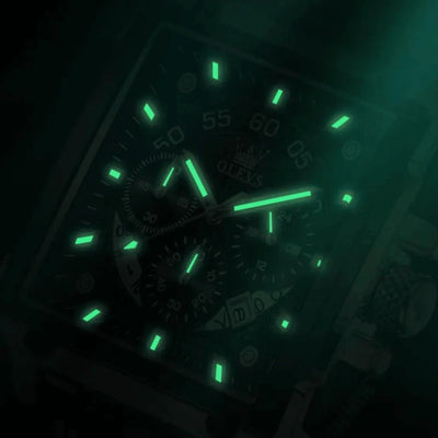 MONTRE HOMME OLEVS