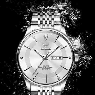 Montre quartz homme Fontainebleau argentée vue d'ensemble