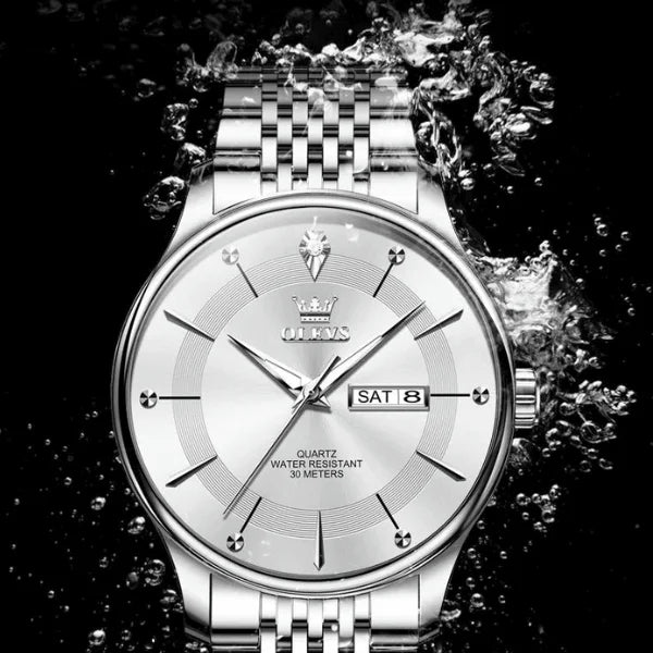 Montre quartz homme Fontainebleau argentée vue d'ensemble